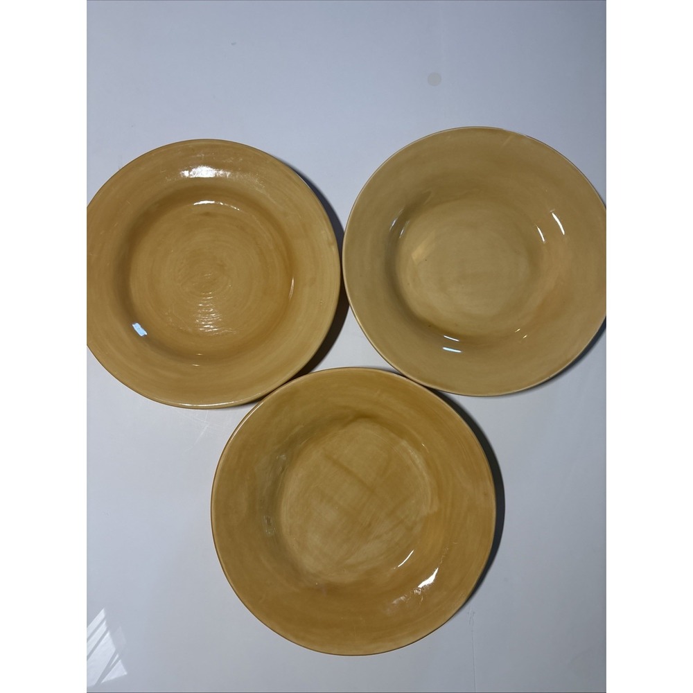 Pottery Barn "SAUSALITO" 12" Plate Butterscotch Lot Of 3 Made In Mexico EUC